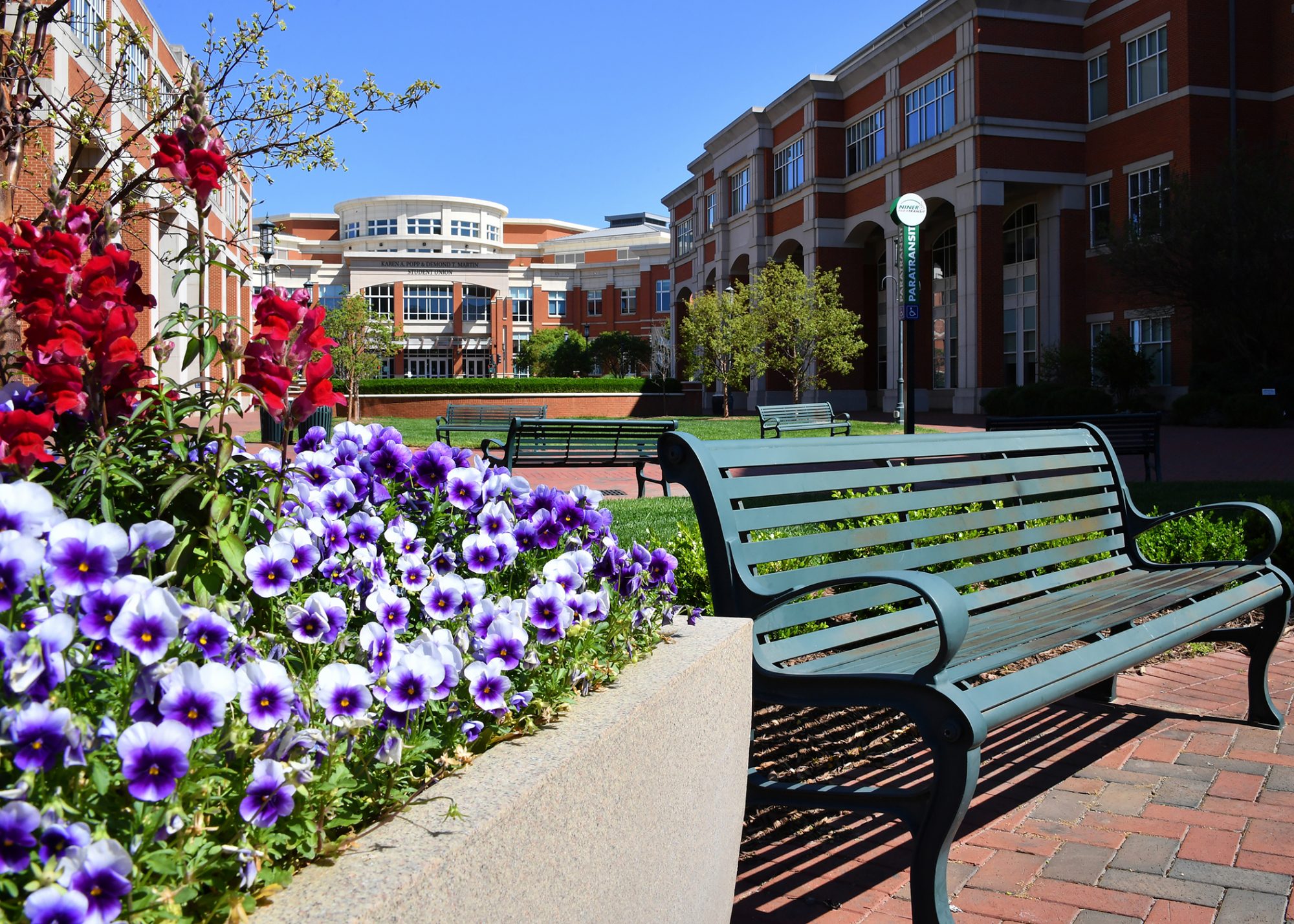 Student union in spring